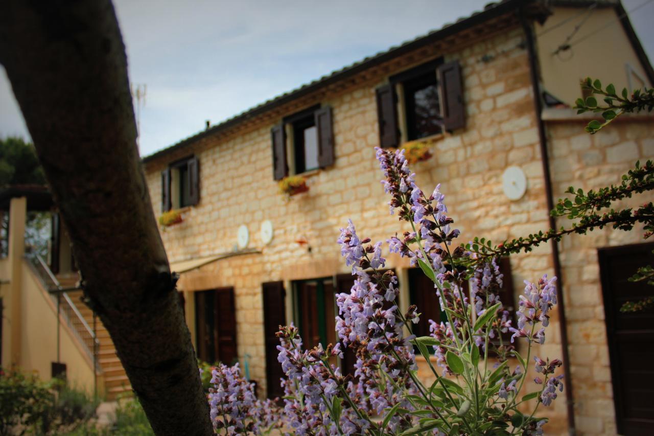 Campo Del Mare Bed & Breakfast Sirolo Exterior photo